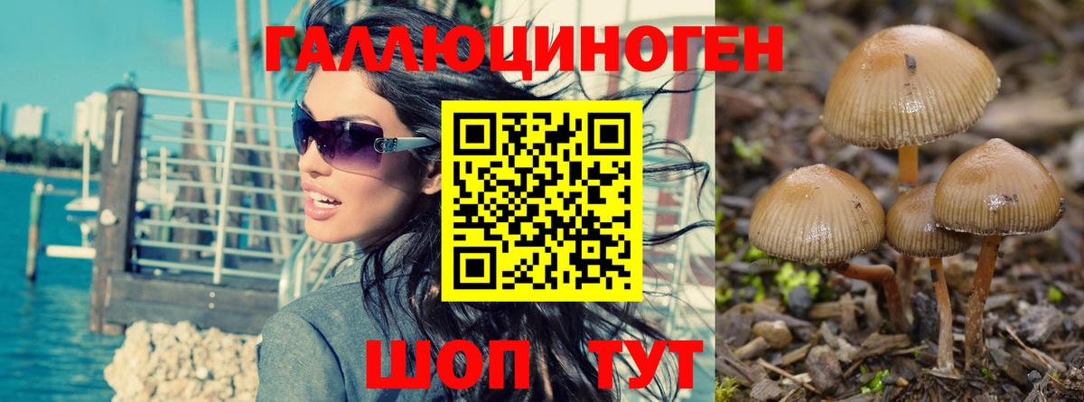 Кузнецк  Псилоцибиновые грибы ЛСД  Галлюциногенные грибы Cubensis  Вход с VPN 